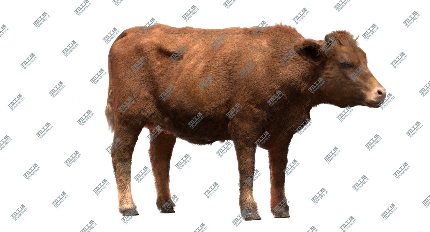 images/goods_img/2021040233/Cow (Rigged) 3D model/3.jpg